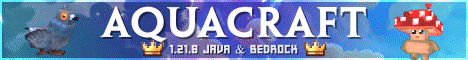 AquaCraft banner