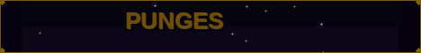 Punges banner