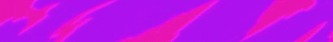 Prime Network banner