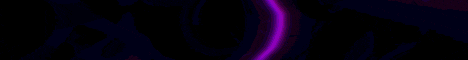 Siso Smp Network banner