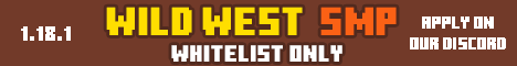 Wild West SMP banner