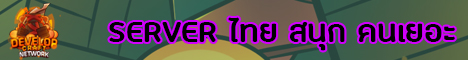 Mc-DevelopCraft Network banner