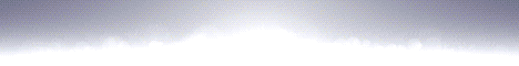 pwing banner