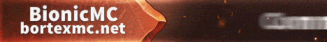 BortexMC banner