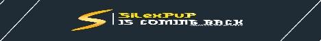 Silex Network banner