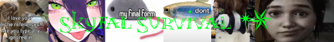 Skyfall Survival banner