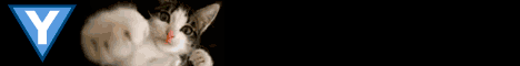 YottaCraft banner