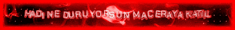 DominionMC banner