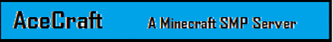 Ace Craft banner