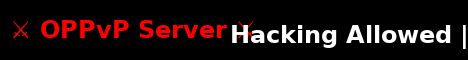 mcpvpserver banner