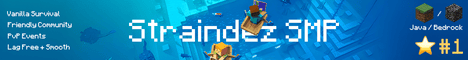 StraindezSMP banner