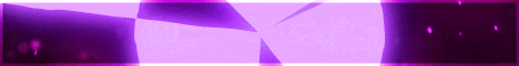 ElegantMC banner