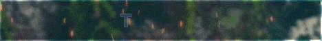 TopMine banner