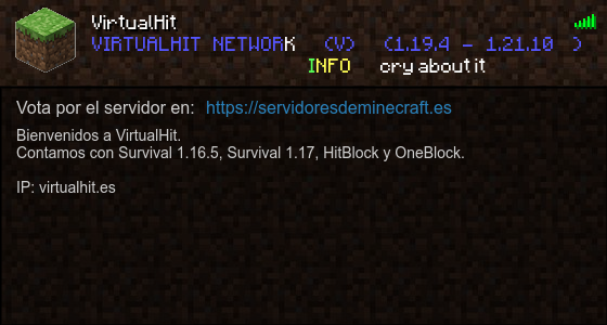 VirtualHit banner