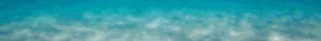 Atlantic Network banner