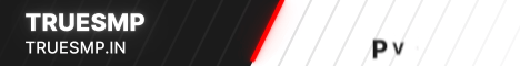 TrueSMP banner