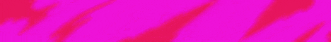 PublicSMP banner
