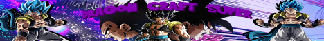 Dragon Craft Super banner