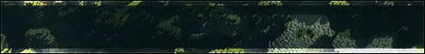 SimplyVanilla banner
