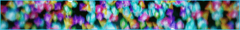 ElytraMC banner