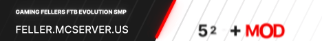 Gaming Fellers FTB Evolution banner