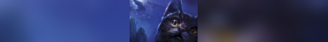 Tullamores Anarchy banner
