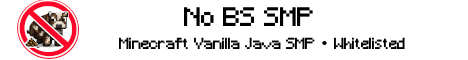 No BS SMP banner