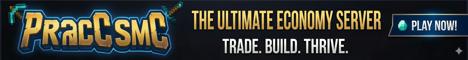 PraccSMP banner