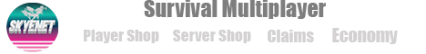 SKYEnet.live banner