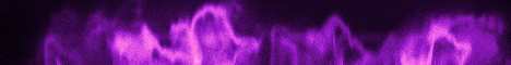 biss peis banner