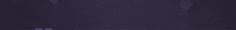 LifeMC banner