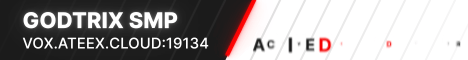 godtrixsmp banner