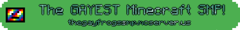 The Gay Frogs SMP banner