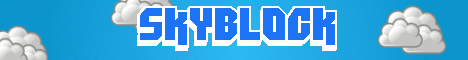 Skyblock banner