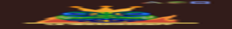 LaiguanaNetwork banner