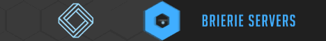 Brierie Server Network banner