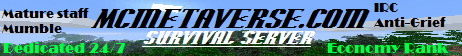 The Metaverse banner