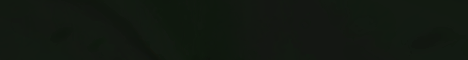 Pinchcliffe SMP banner