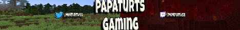 TurtleWorldSMP S2 banner