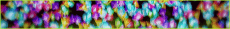 CivSMP banner