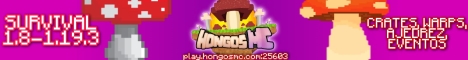HongosMC banner