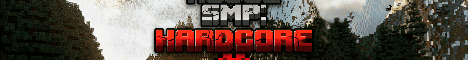 Rogue SMP banner
