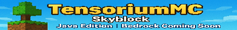 TensoriumMC banner