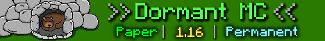 DormantMC banner