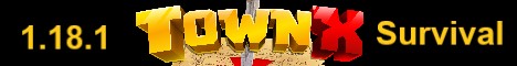 TownX banner