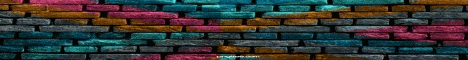 Dragonfly banner