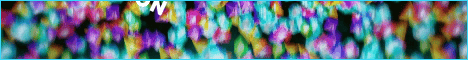 Maestros Network banner