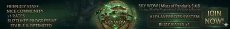 SKYWOW banner