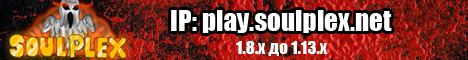 SoulPlex.NET banner