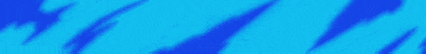 W Networks banner